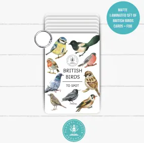 British Birds flashcards PLR