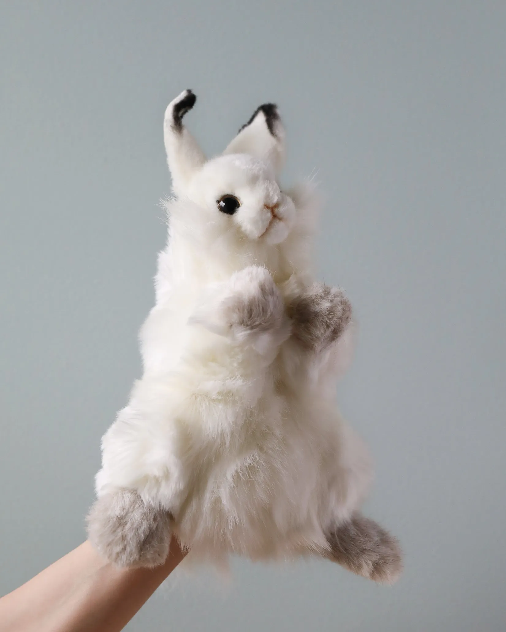 Bunny Puppet