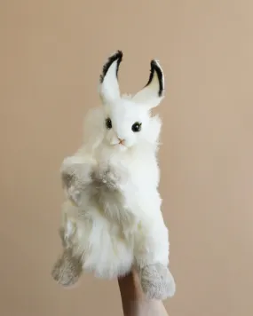 Bunny Puppet