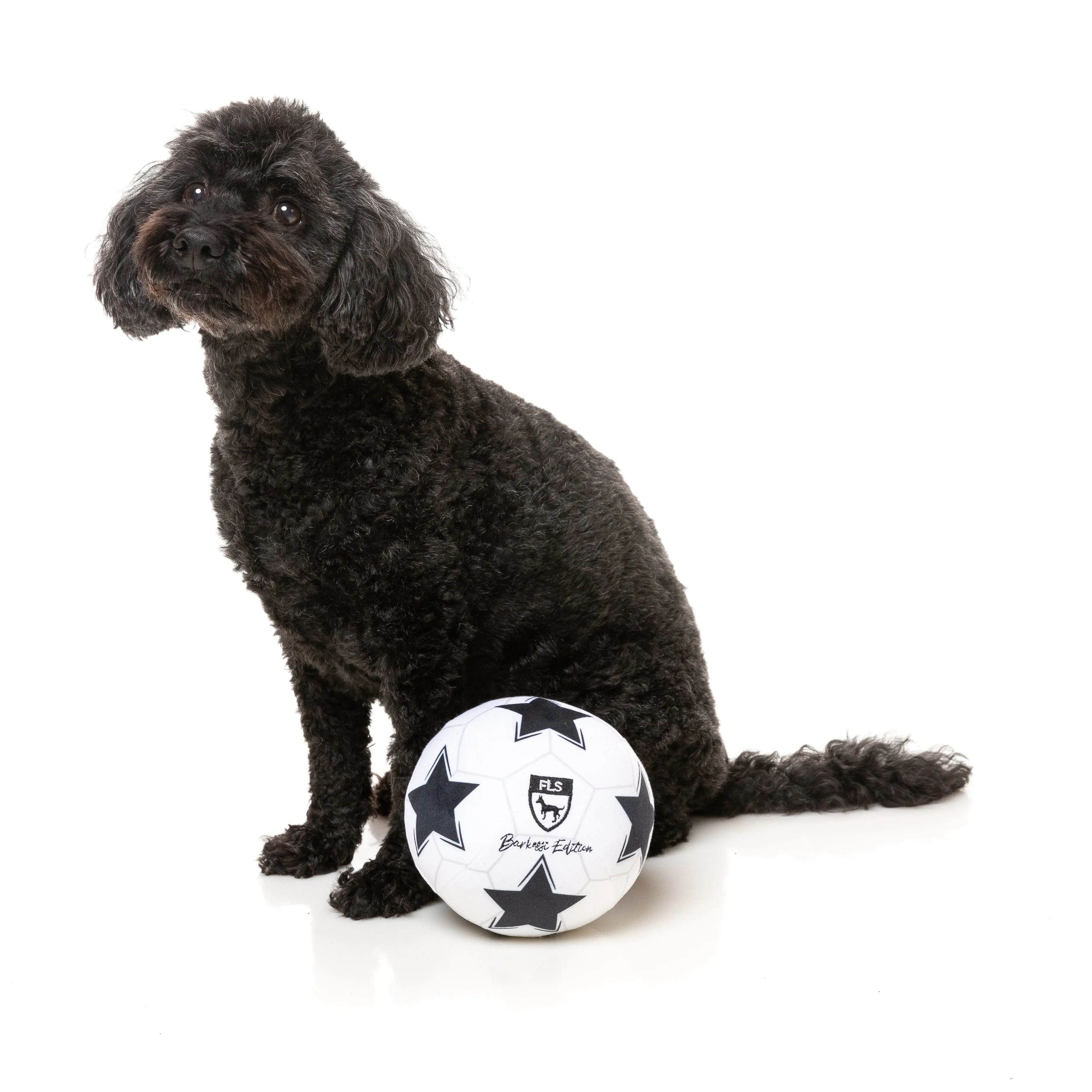 FuzzYard Soccer Ball Soft Dog Toy