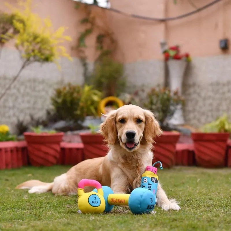 Goofy Tails Gym Series Dumbbell Plush Toy  | Squeaky Toy For Dogs and Puppies