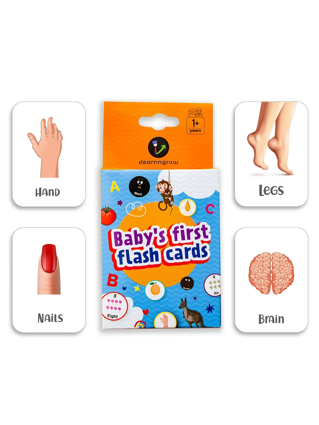 iLearnNgrow Baby's First Body Parts Flash Cards