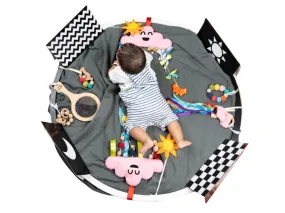 Rocking Potato Developmental Activity hoop (with toys)