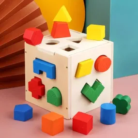 Shape Sorting Intelligence Box - 15 pieces